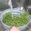 Rucola waschen